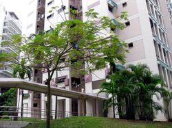 Hougang Street 91 (Hougang), HDB 3 Rooms #558832931